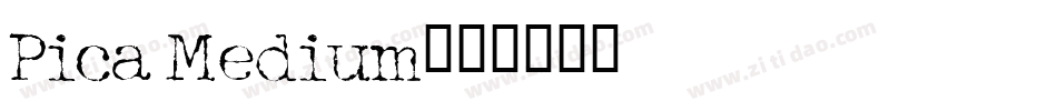 Pica Medium字体转换